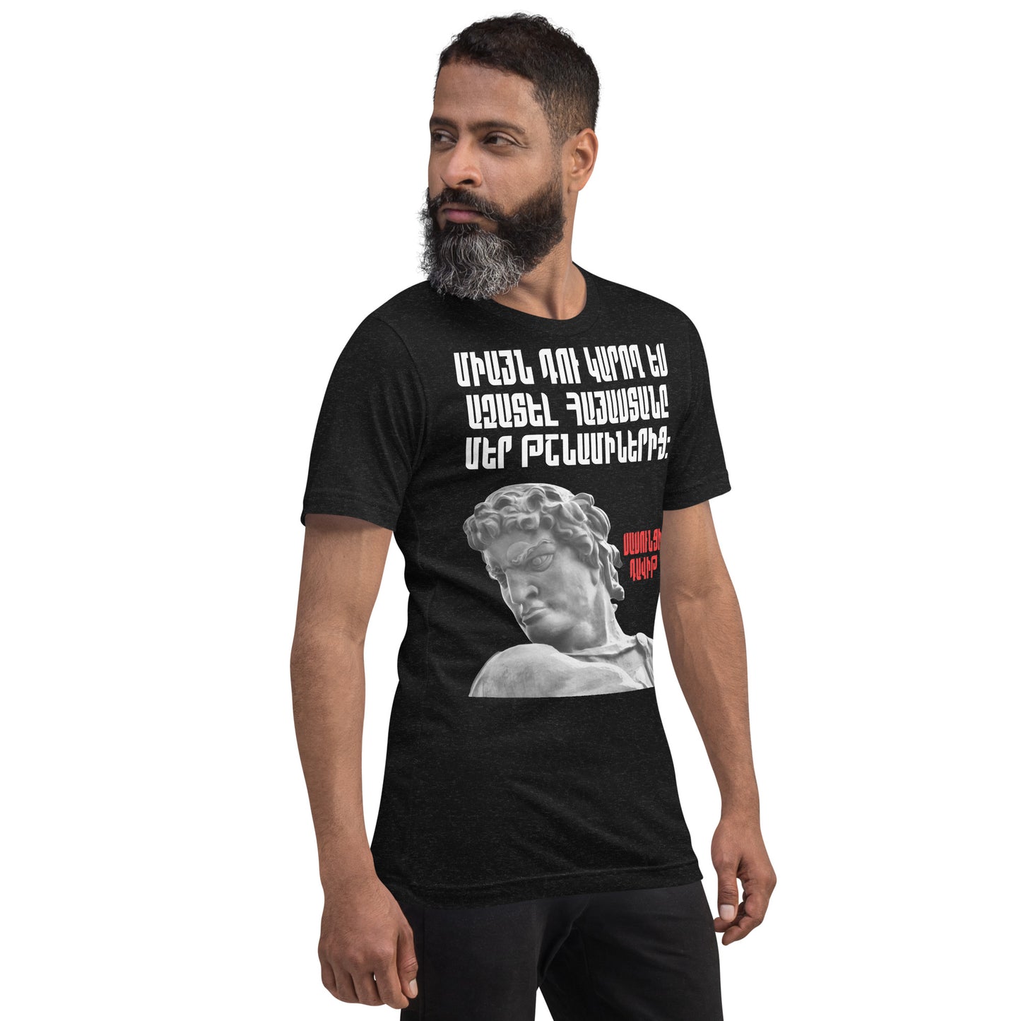 Armenian Genocide Memorial T-shirt | Sassounsi Davit Statue | Unisex Graphic Tee | April 24th, 2025 | Pomegranate Mint (Eastern) Pomegranate Mint