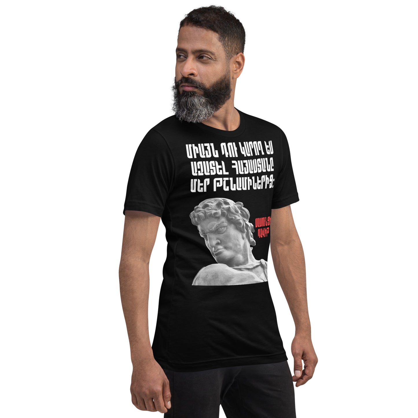 Armenian Genocide Memorial T-shirt | Sassounsi Davit Statue | Unisex Graphic Tee | April 24th, 2025 | Pomegranate Mint (Eastern) Pomegranate Mint