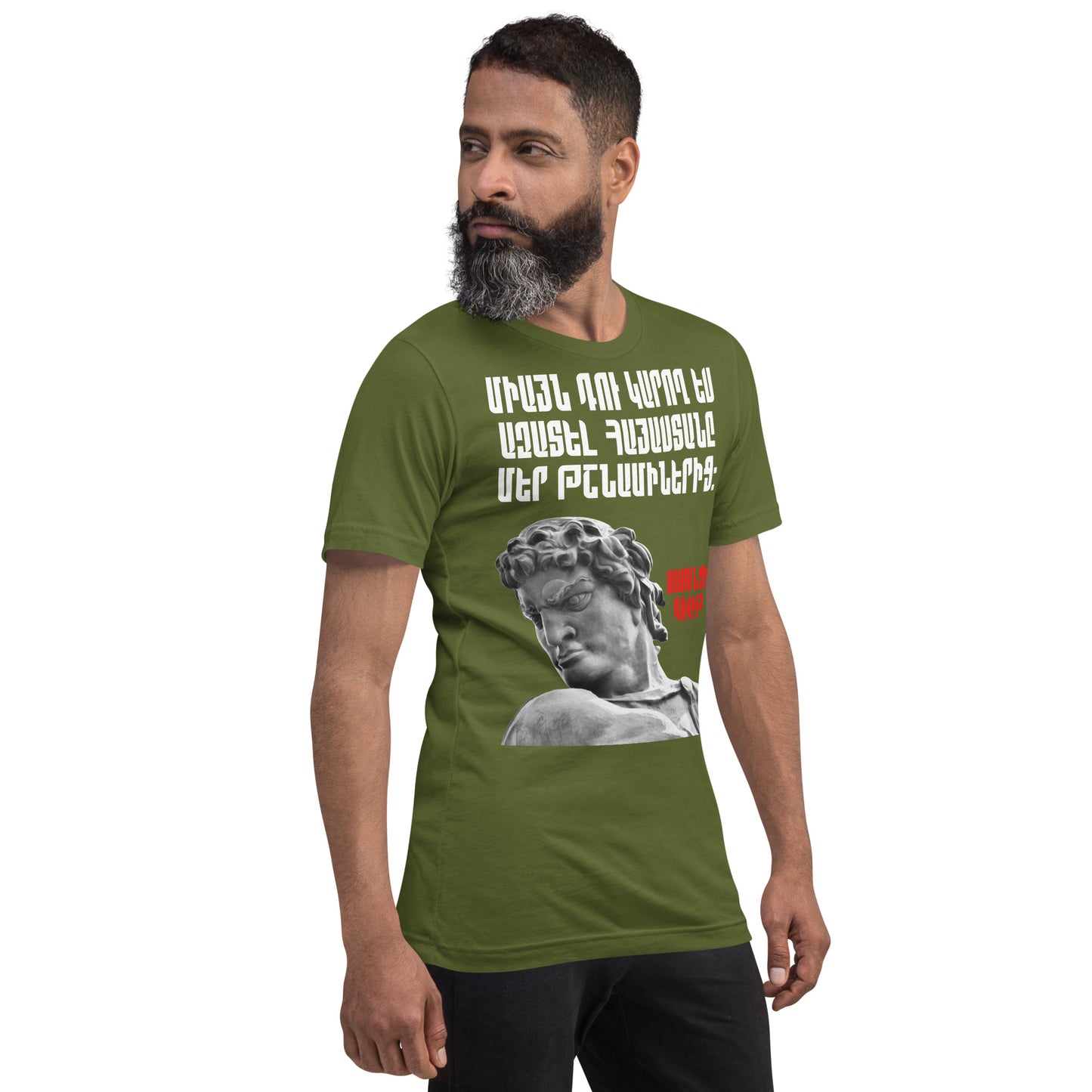 Armenian Genocide Memorial T-shirt | Sassounsi Davit Statue | Unisex Graphic Tee | April 24th, 2025 | Pomegranate Mint (Eastern) Pomegranate Mint