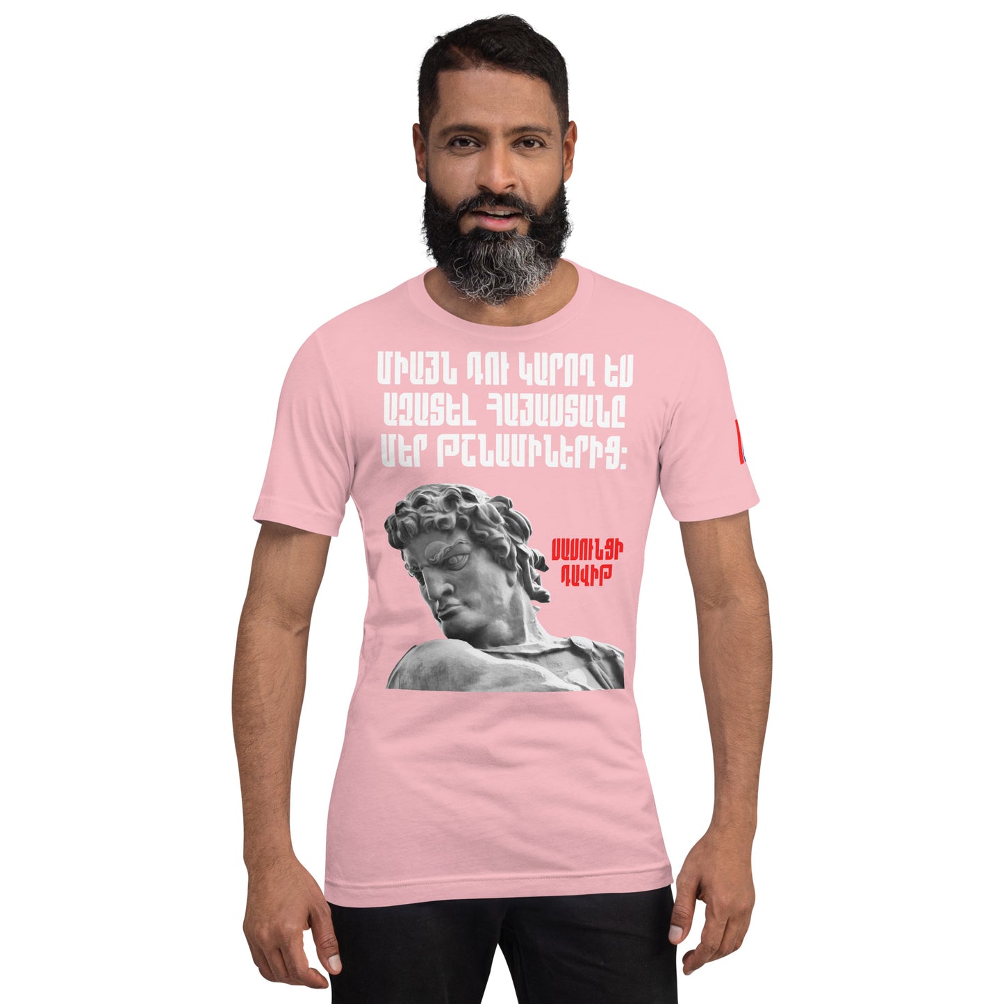 Armenian Genocide Memorial T-shirt | Sassounsi Davit Statue | Unisex Graphic Tee | April 24th, 2025 | Pomegranate Mint (Eastern) Pomegranate Mint