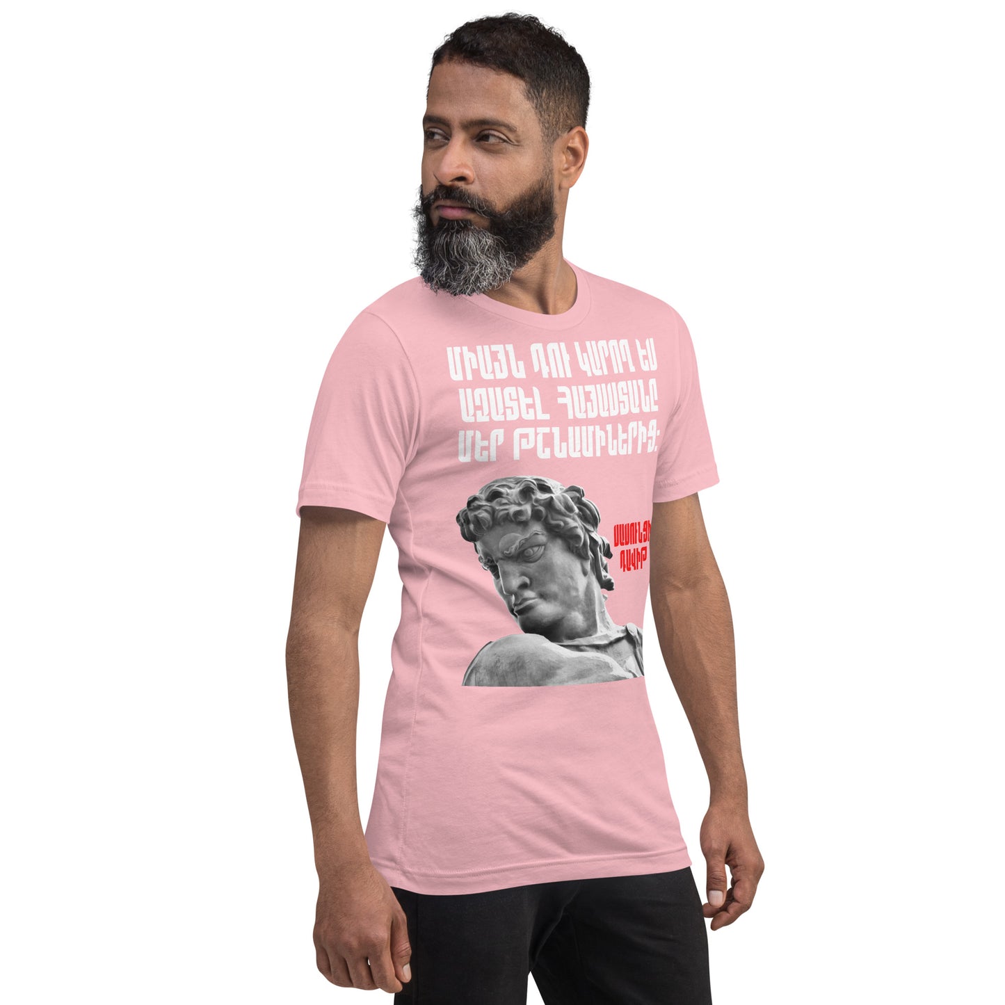 Armenian Genocide Memorial T-shirt | Sassounsi Davit Statue | Unisex Graphic Tee | April 24th, 2025 | Pomegranate Mint (Eastern) Pomegranate Mint