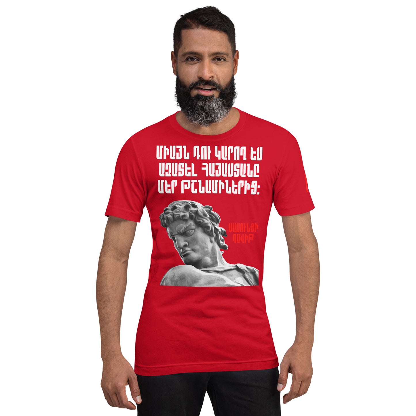 Armenian Genocide Memorial T-shirt | Sassounsi Davit Statue | Unisex Graphic Tee | April 24th, 2025 | Pomegranate Mint (Eastern) Pomegranate Mint